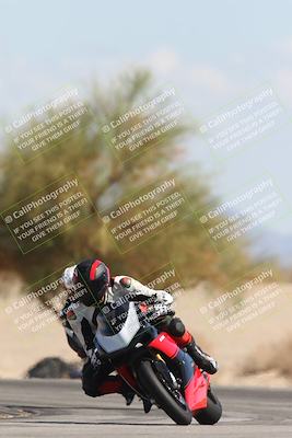 media/Oct-13-2025-Moto Forza (Mon) [[a66d839500]]/3-B Group/Session 4 Turn 4 Tree of Life/